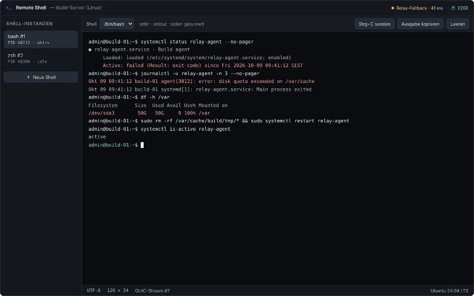 Terminalansicht einer Remote Shell innerhalb der Sitzung