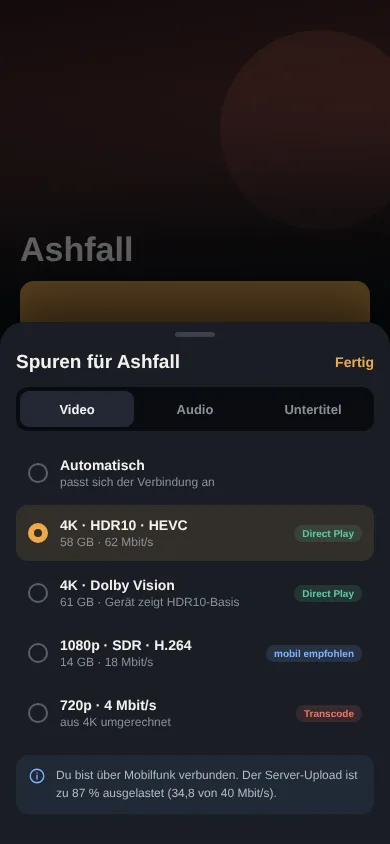 Von unten eingeblendetes Sheet zur Wahl der Audiospur auf dem Smartphone